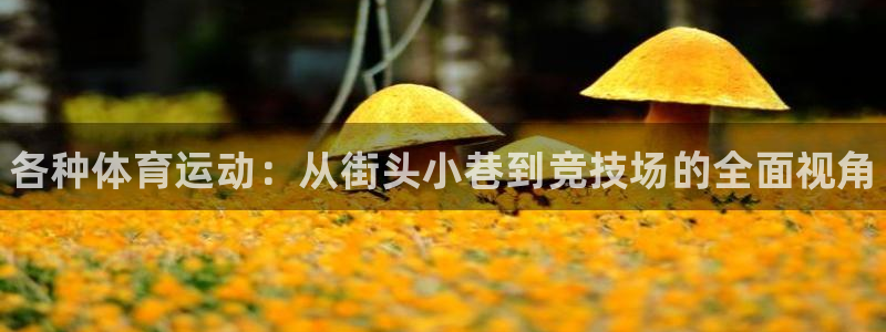 oety欧亿体育官网下载平台APP:各种体育运动:从街头小巷