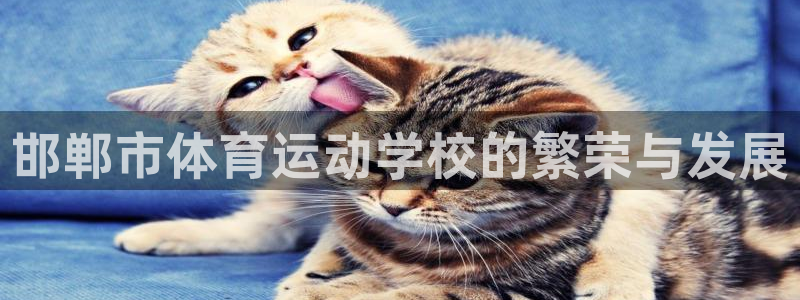欧亿体育官方集团官网:邯郸市体育运动学校的繁荣与发展