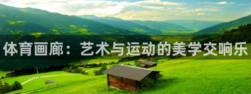 oety欧亿体育官网下载平台注册流程图:体育画廊:艺术与运动